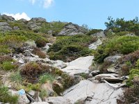 F, Ardeche, Saint-Martial, Mont Gerbier de Jonc 3, Saxifraga-Tom Heijnen