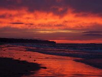 F, Calvados, Saint-Laurent-sur-Mer, Omaha Beach 7, Saxifraga-Foto Fitis-Sytske Dijksen