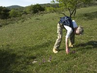 F, Drome, Chaffal, La Vacherie 1, Saxifraga-Jan van der Straaten