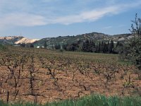 F, Drome, La Baume-d'Hostun, Porte de la Drome 1, Saxifraga-Jan van der Straaten