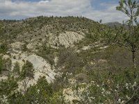 F, Drome, Montbrun les Bains 3, Saxifraga-Willem van Kruijsbergen