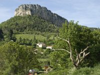 F, Drome, Plan-de-Baix, Roche du Vellan 2, Saxifraga-Jan van der Straaten