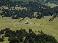 F, Drome, Treschenu-Creyers, Abri de l' Essaure 13, Saxifraga-Willem van Kruijsbergen