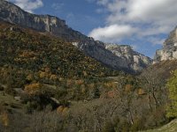 F, Drome, Treschenu-Creyers, Archiane 1, Saxifraga-Jan van der Straaten