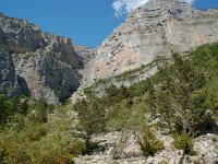 F, Drome, Treschenu-Creyers, Cirque d Archiane 1, Saxifraga-Willem van Kruijsbergen