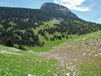 F, Drome, Treschenu-Creyers, Col de Jiboui 1, Saxifraga-Willem van Kruijsbergen