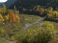 F, Drome, Treschenu-Creyers, Gorges des Gats 3, Saxifraga-Jan van der Straaten