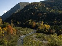 F, Drome, Treschenu-Creyers, Gorges des Gats 4, Saxifraga-Jan van der Straaten