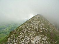 F, Drome, Treschenu-Creyers, Mont Barral 6, Saxifraga-Willem van Kruijsbergen