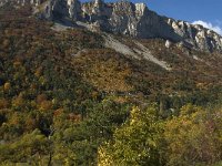 F, Drome, Treschenu-Creyers, Nonnieres 6, Saxifraga-Jan van der Straaten