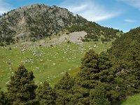 F, Drome, Treschenu-Creyers, Rocher de la Fenetre 1, Saxifraga-Willem van Kruijsbergen