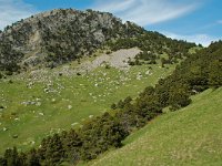 F, Drome, Treschenu-Creyers, Rocher de la Fenetre 4, Saxifraga-Willem van Kruijsbergen