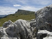 F, Drome, Treschenu-Creyers, Vallon de Combeau 103, Saxifraga-Willem van Kruijsbergen