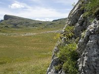 F, Drome, Treschenu-Creyers, Vallon de Combeau 106, Saxifraga-Willem van Kruijsbergen