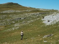 F, Drome, Treschenu-Creyers, Vallon de Combeau 15, Saxifraga-Jan van der Straaten