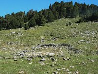 F, Drome, Treschenu-Creyers, Vallon de Combeau 2, Saxifraga-Jan van der Straaten