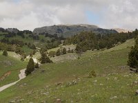 F, Drome, Treschenu-Creyers, Vallon de Combeau 22, Saxifraga-Willem van Kruijsbergen