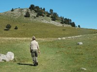 F, Drome, Treschenu-Creyers, Vallon de Combeau 6, Saxifraga-Jan van der Straaten