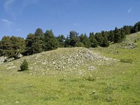 F, Drome, Treschenu-Creyers, Vallon de Combeau 60, Saxifraga-Willem van Kruijsbergen