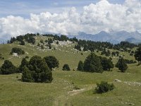 F, Drome, Treschenu-Creyers, Vallon de Combeau 68, Saxifraga-Willem van Kruijsbergen