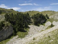 F, Drome, Treschenu-Creyers, Vallon de Combeau 83, Saxifraga-Willem van Kruijsbergen