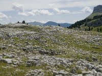 F, Drome, Treschenu-Creyers, Vallon de Combeau 94, Saxifraga-Willem van Kruijsbergen