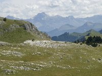 F, Drome, Treschenu-Creyers, Vallon de Combeau 96, Saxifraga-Willem van Kruijsbergen