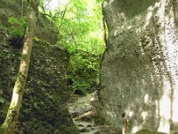 F, Haute-Marne, Aprey, Gorges de Vingeann 4, Saxifraga-Hans Dekker