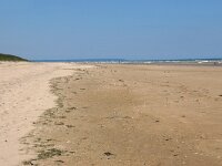 F, Manche, Audouville-la-Hubert, Utah Beach 2, Saxifraga-Foto Fitis-Sytske Dijksen