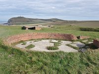 F, Pas-de-Calais, Escalles, Cap Blanc Nez 8, Saxifraga-Hans Dekker