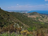 F, Pyrenees Orientales, Collioure 3, Saxifraga-Hans Dekker