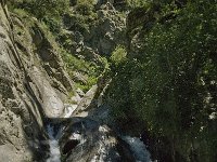 F, Pyrenees Orientales, Vernet-les-Bains, Gorges de Saint Vincent 2, Saxifraga-Jan van der Straaten