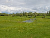 Uiterwaarden landschap  Uiterwaardenlandschap van de rivier de Doubs bij het plaatsje Fretterans, Frankrijk. Gemaakt op de weg Rue du Faubourg richting oost. : Landschap