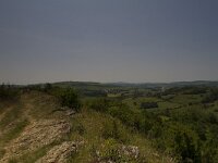 F, Saone et Loire, Moroges, Mont Avril 3, South, Saxifraga-Jan Nijendijk