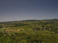 F, Saone et Loire, Moroges, Mont Avril 4, West, Saxifraga-Jan Nijendijk