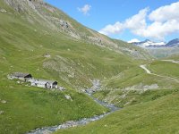 F, Savoie, Val-Cenis, Parc national de la Vanoise near Bellecombe 12, Saxifraga-Tom Heijnen