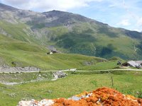 F, Savoie, Val-Cenis, Parc national de la Vanoise near Bellecombe 4, Saxifraga-Tom Heijnen