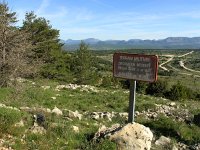 F, Var, Bargemon, Col du Bel Homme 2, Saxifraga-Hans Dekker