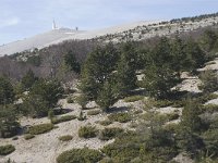 F, Vaucluse, Bedoin, Mont Ventoux 14, Saxifraga-Willem van Kruijsbergen