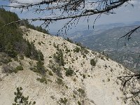 F, Vaucluse, Bedoin, Mont Ventoux 21, Saxifraga-Willem van Kruijsbergen