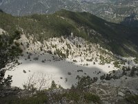 F, Vaucluse, Bedoin, Mont Ventoux 24, Saxifraga-Willem van Kruijsbergen