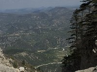 F, Vaucluse, Bedoin, Mont Ventoux 39, Saxifraga-Willem van Kruijsbergen