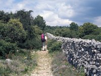 F, Vaucluse, Lagnes 3, Saxifraga-Jan van der Straaten