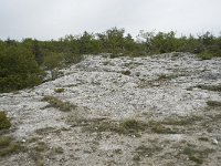 F, Vaucluse, Monieux, St-Hubert 1, Saxifraga-Willem van Kruijsbergen