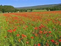 Saint Saturnin-les-Apt