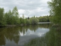 F, Yonne, Quarre-les Tombes, Etang du Grottier Blanc 10, Saxifraga-Willem van Kruijsbergen