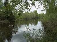 F, Yonne, Quarre-les Tombes, Etang du Grottier Blanc 7, Saxifraga-Willem van Kruijsbergen