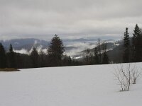D, Bayern, Grafenau 3, Saxifraga-Jan Nijendijk