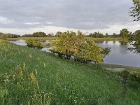 D, Brandenburg, Lenzerwische, Elbe near Wootz, Saxifraga-Tom Heijnen