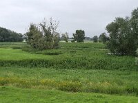 D, Brandenburg, Lenzerwische, Elbe valley near Domitz, Saxifraga-Tom Heijnen